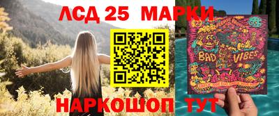 стаф Свободный