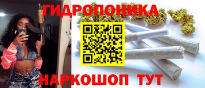 стаф Свободный