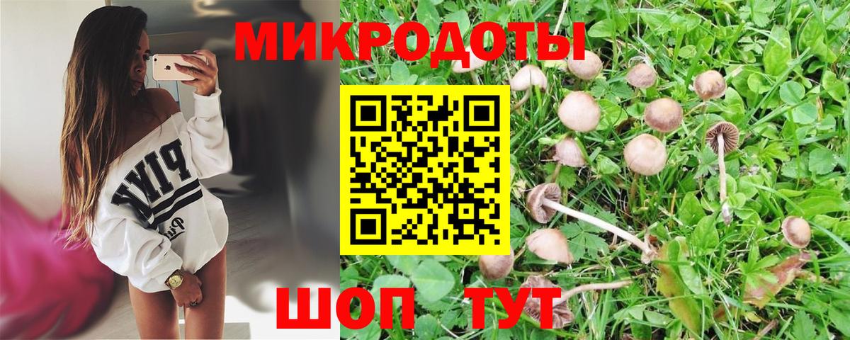 Галлюциногенные грибы Psilocybe  Псилоцибиновые грибы GOLDEN TEACHER  Вход с VPN  Сертолово 